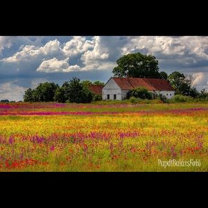 Meet your Posher, Barbara